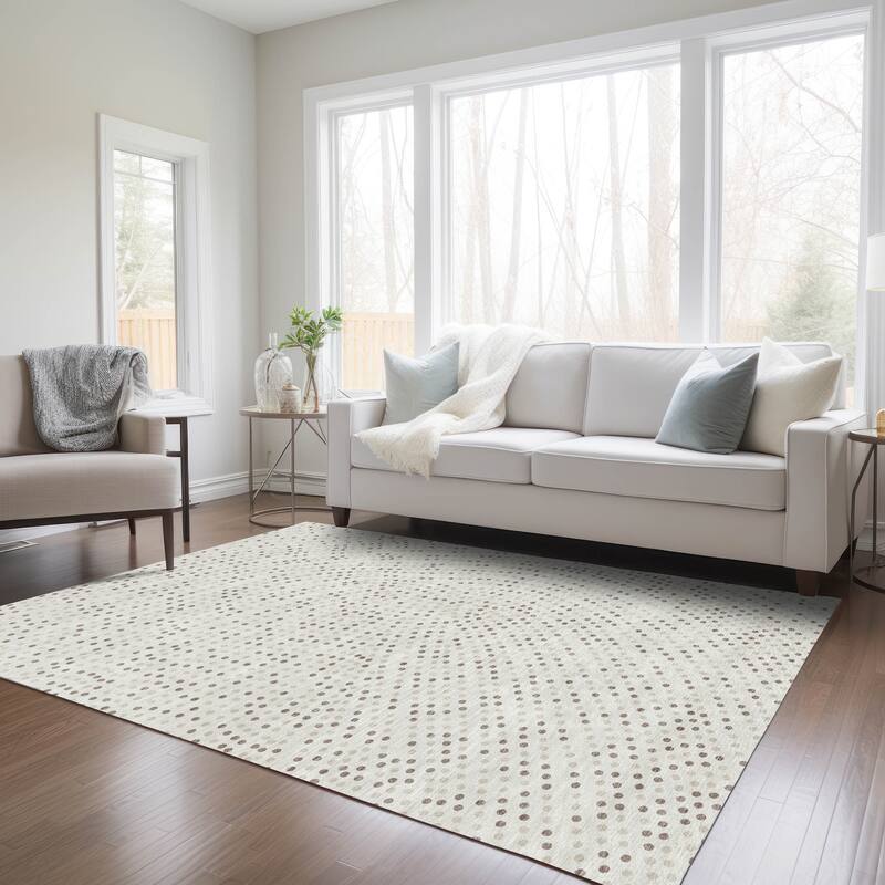 Machine Washable Indoor/ Outdoor Modern Dotty Chantille Rug