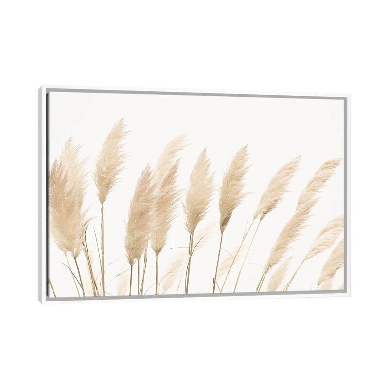 iCanvas "Pampas" by Sisi & Seb Framed Canvas Print - White - 32x48