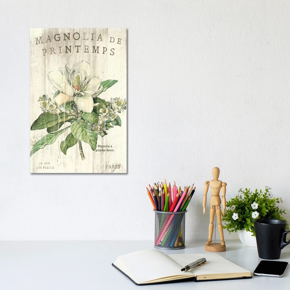 iCanvas "Magnolia de Printemps " by Sue Schlabach Canvas Print