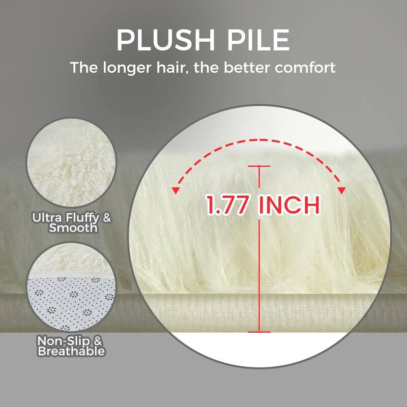 4X6 Fluffy Shag Area Rugs, Super Soft Rugs for Living Room