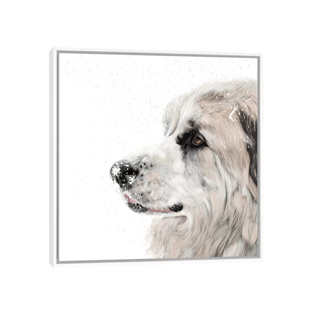 iCanvas "Great Pyrenees" by Vicki Newton Framed