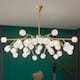 Option 40 Light