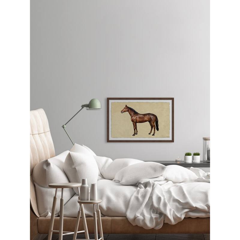 Shiny Coat Framed Print