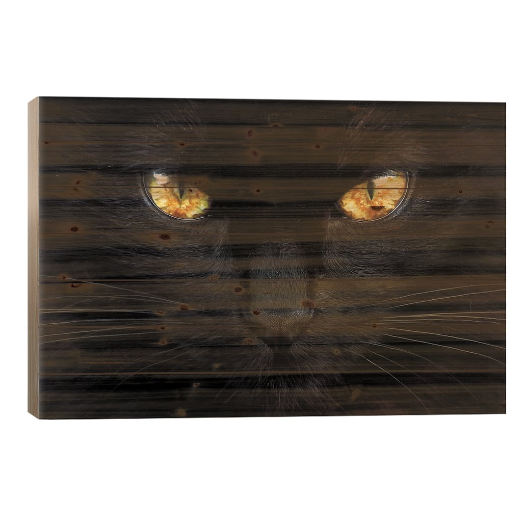 The Hypnotist Of The Night Print On Wood by Ferdinando Valverde - Multi-Color