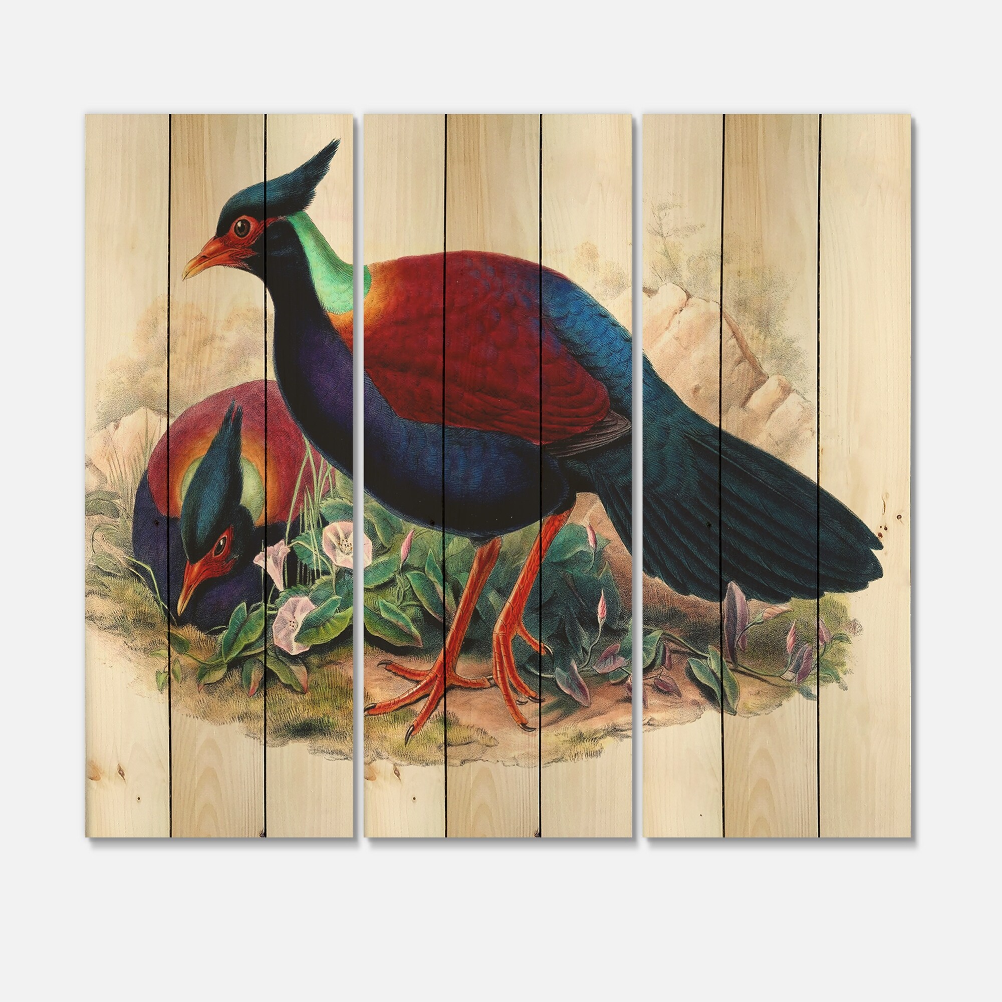 Designart 'Vintage Birds In The Wild II' Traditional Print-image