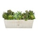 preview thumbnail 8 of 10, Faux Succulent Garden in Wood Washed Ledge Planter White