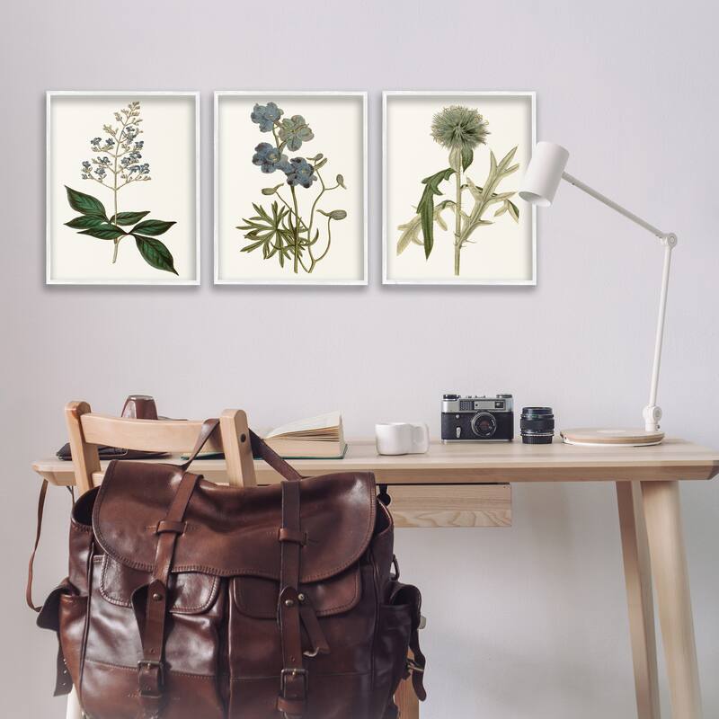 Stupell Vintage Blue Botanical Flowers on Beige, 3pc Multi Piece Framed Wall Art Set