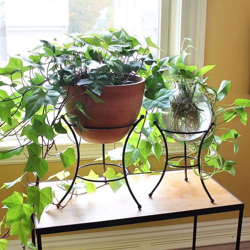 Achla Designs Multi-Use Stand for Planter, Birdbath, Gazing Ball, 14 Inch Tall, Black Powder Coat Finish