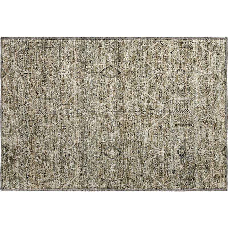Premium Washable Super Soft Traditional Global Mayfield Rug