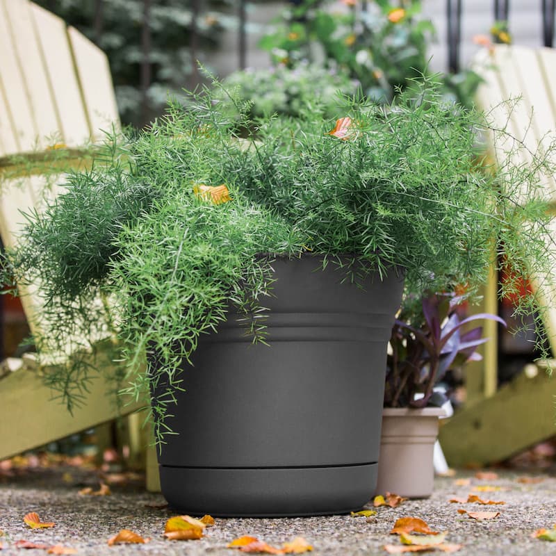 Bloem 12.75 in. H x 14 in. W Plastic Saturn Planter Charcoal