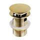 Option Polished Brass