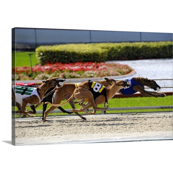 dog races fort myers dog races fort myers