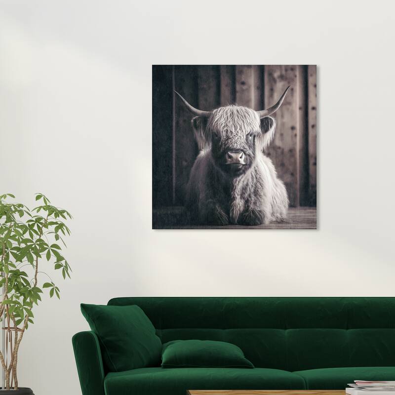 Wynwood Studio Canvas Animals Baby Highland Cow Brown and Dark Brown Rustic Wall Art Canvas Print - Brown, White - 30 x 30