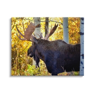 Stupell Moose Photography Autumn Foliage Canvas Wall Art by Dennis ...