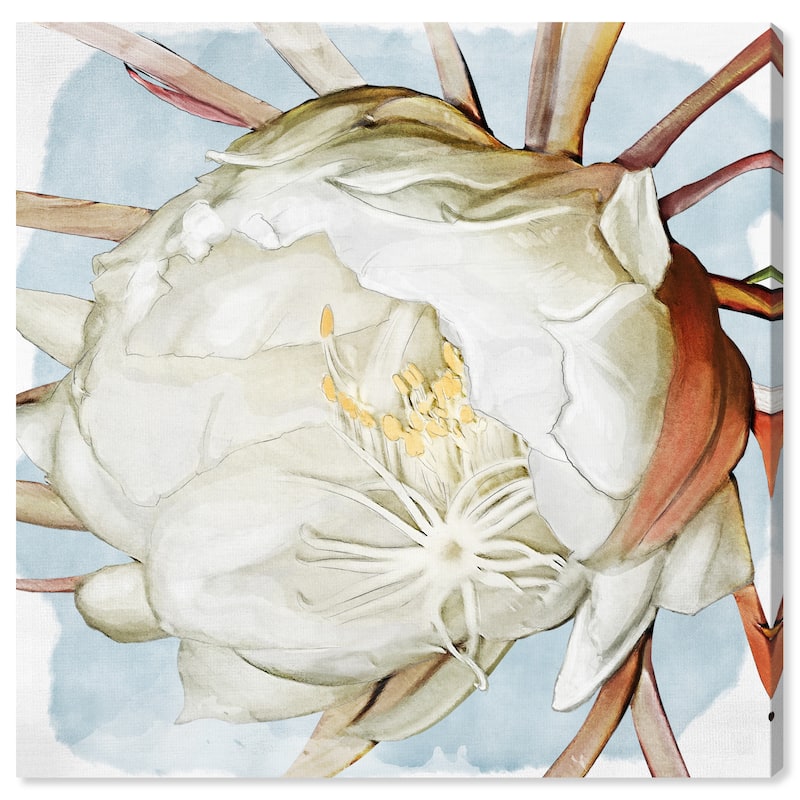 Wynwood Studio Canvas Floral and Botanical Latenight Blossom White and Farmhouse Wall Art Canvas Print