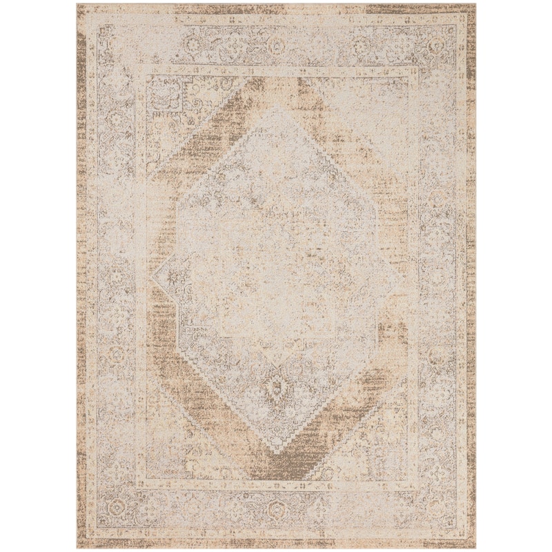 Nourison Astra Machine Washable Persian Area Rug - 5' 3" x 7' - Beige - Rectangle