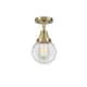 Option Antique Brass / Clear