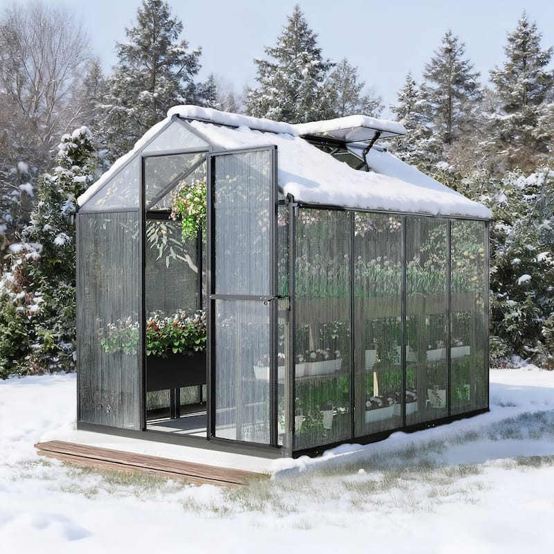Aoodor Polycarbonate Walk-in Greenhouse with Aluminum Frame and Roof Vent - 6' x 8' - Black
