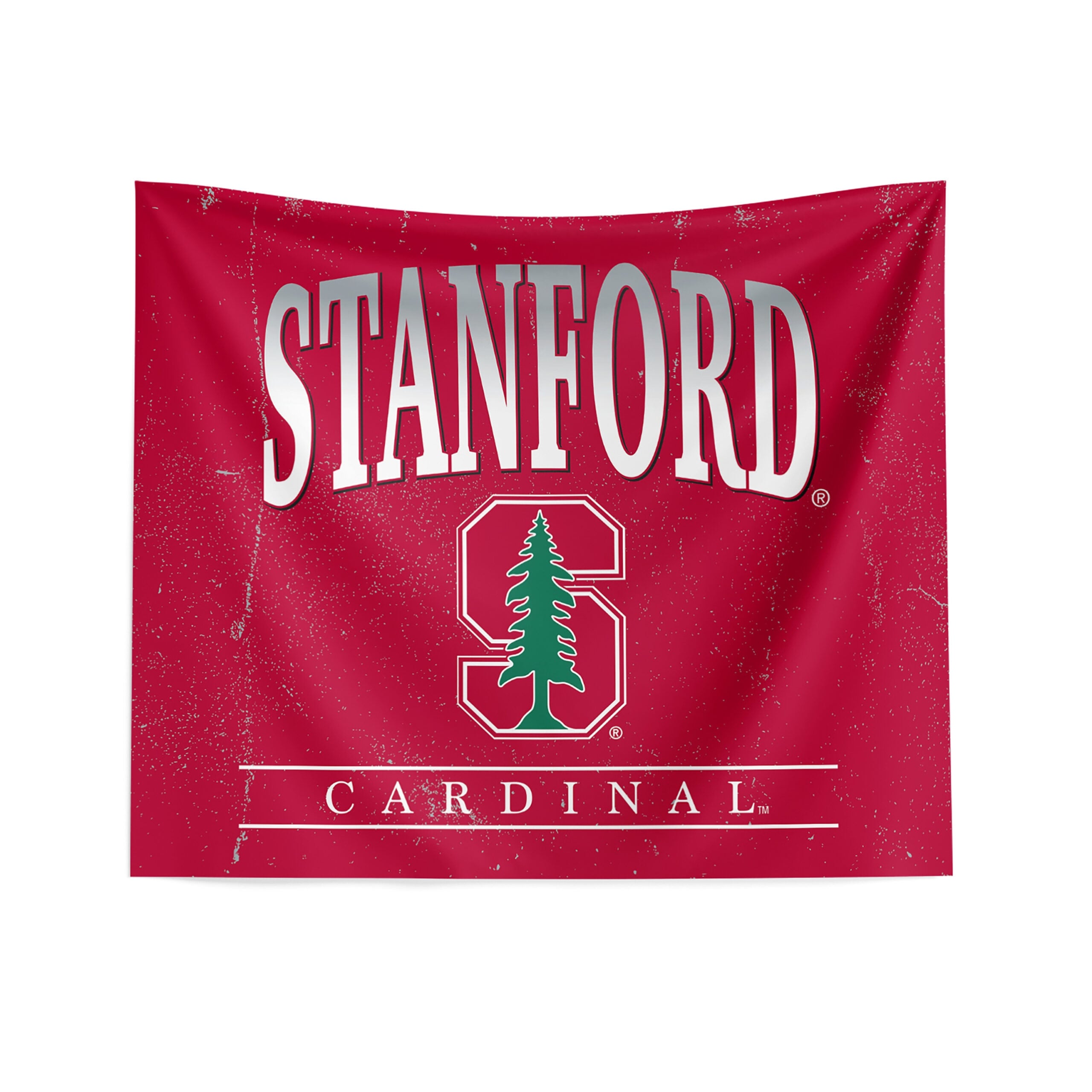 NCAA Atlatnic Coast Textured Printed Wall Hanging