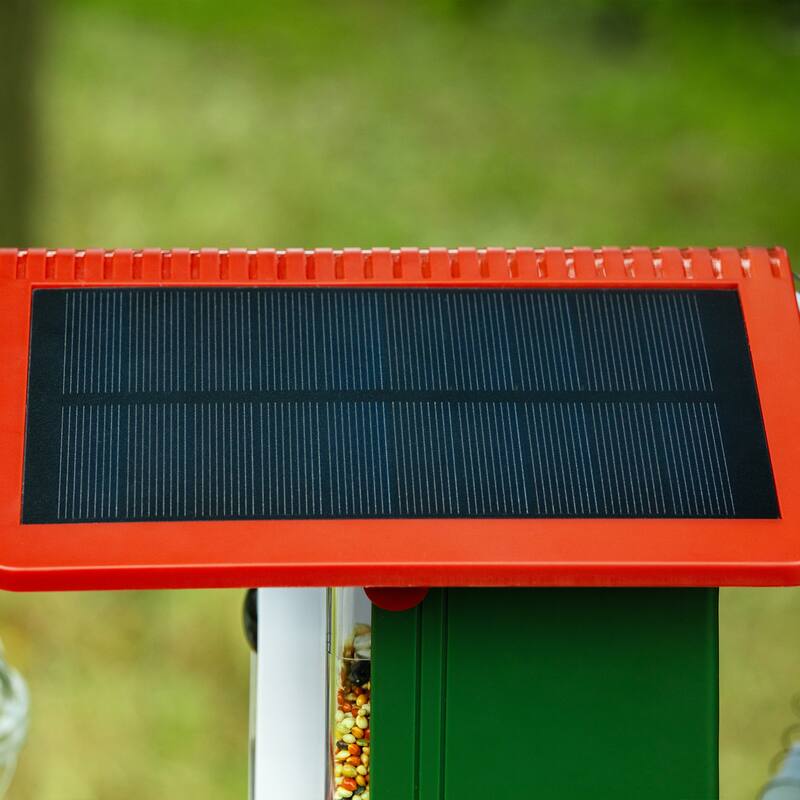 Smart Solar Bird Feeder with Camera and AI Identify Bird Species - 7.03 in. W x 7.03 in. D x 8.13 in. H
