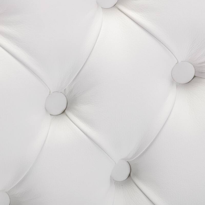 Roomfitters Tufted Dining Chair Set of 2, PU Leather & Velvet Upholstered Accent Chairs with Nailhead Trim