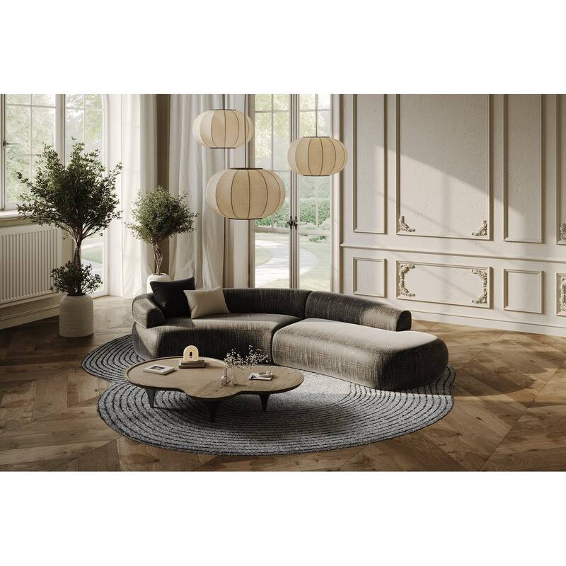 Modrest Beulah Modern Free Form Dark Ash Coffee Table