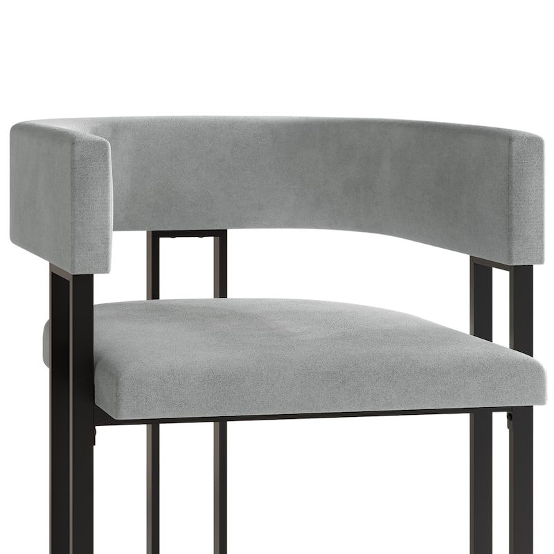 CraftPorch 2 Pieces Contemporary Dining Chair Set