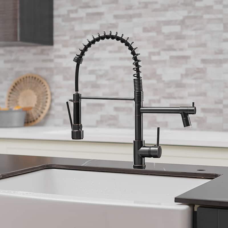 Single Handle Pull-down 2-Spout Kitchen Faucet with LED Light - 9.25''W x 19.48''H