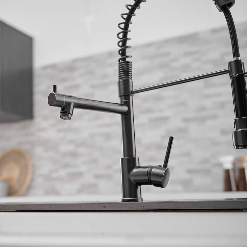 Modern Matte Black Pull-down 2-Function Kitchen Sink Faucet - 9.25''W x 19.48''H