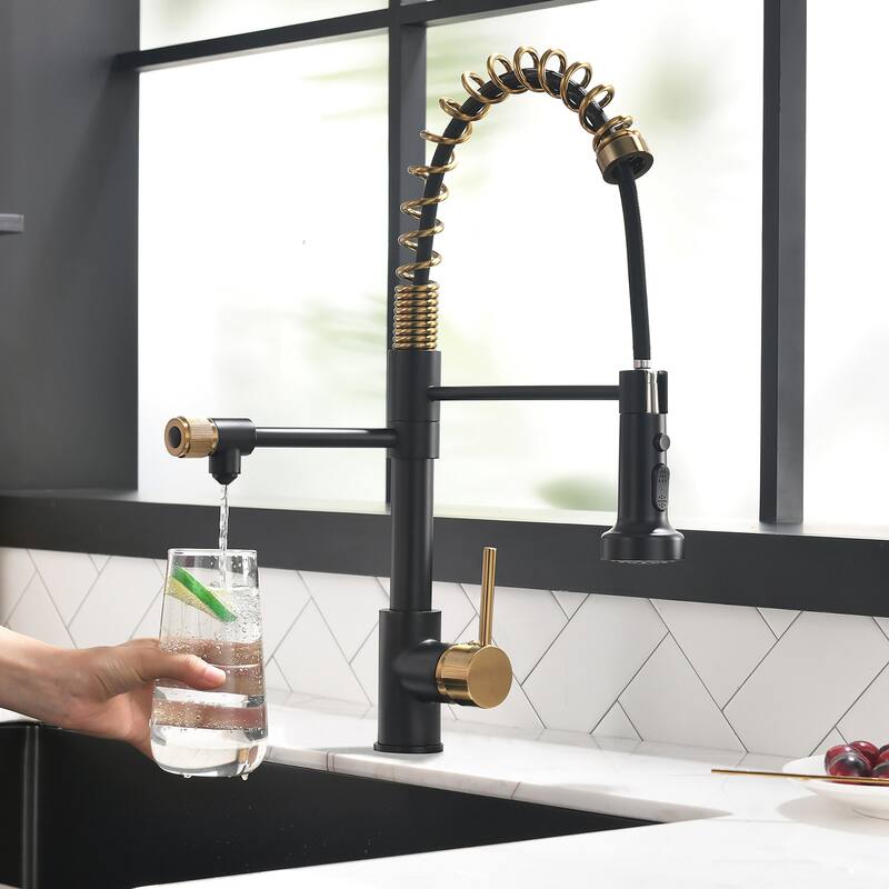 Modern Kitchen 2-Function Sink Faucet With Pull Down Sprayer - 8.8''W x 19.6''H - Black
