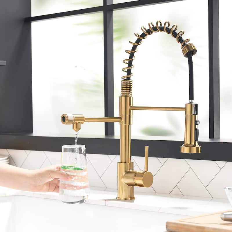 Modern Kitchen 2-Function Sink Faucet With Pull Down Sprayer - 8.8''W x 19.6''H