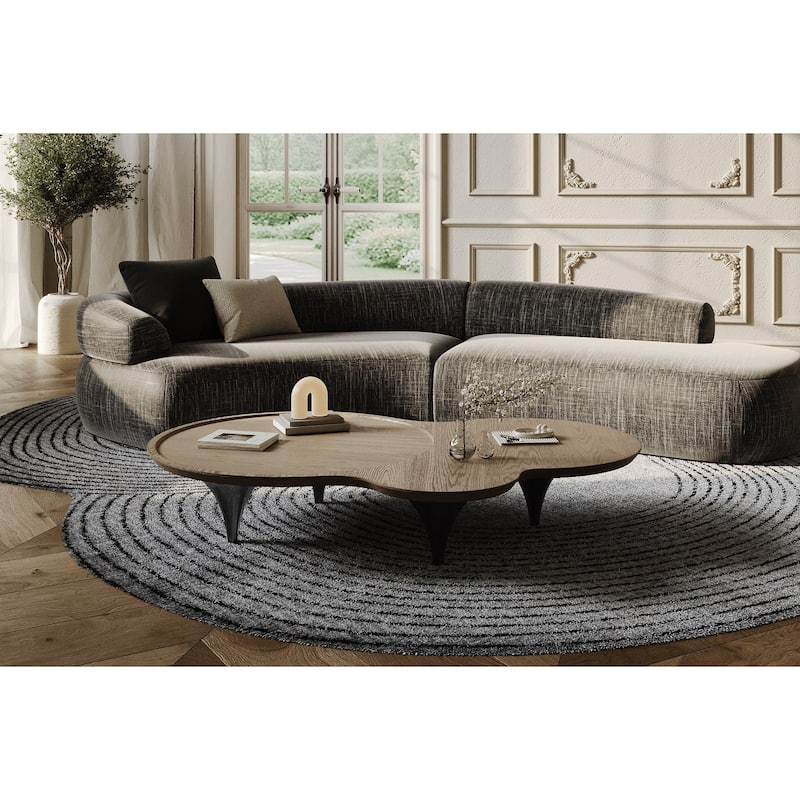 Modrest Beulah Modern Free Form Dark Ash Coffee Table