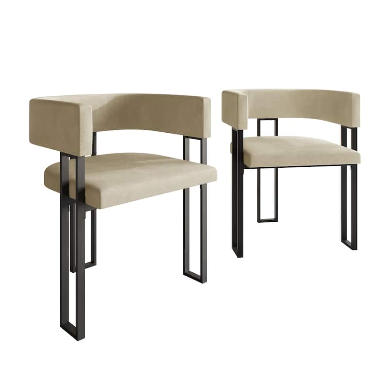 CraftPorch 2 Pieces Contemporary Dining Chair Set - Champagne