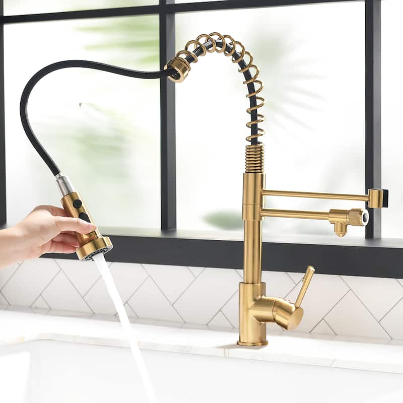 Modern Kitchen 2-Function Sink Faucet With Pull Down Sprayer - 8.8''W x 19.6''H