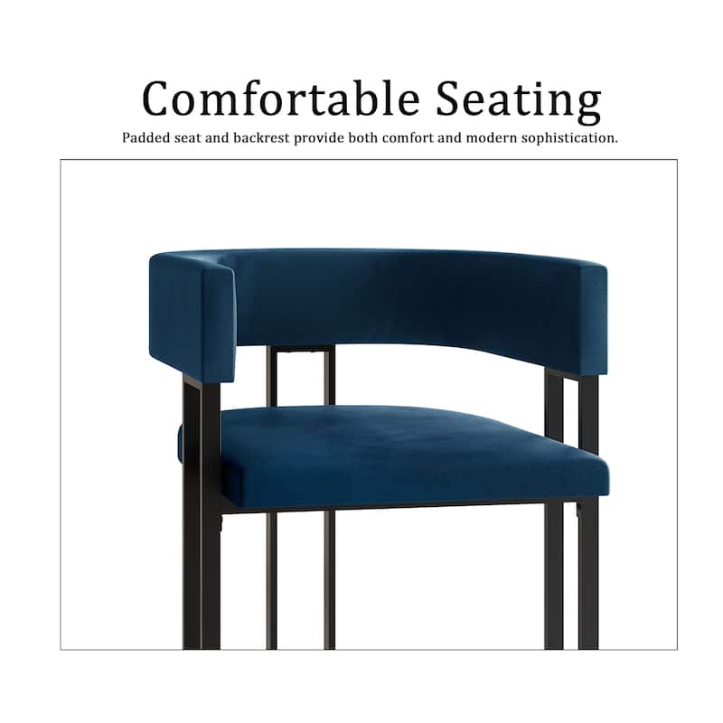 CraftPorch 2 Pieces Contemporary Dining Chair Set