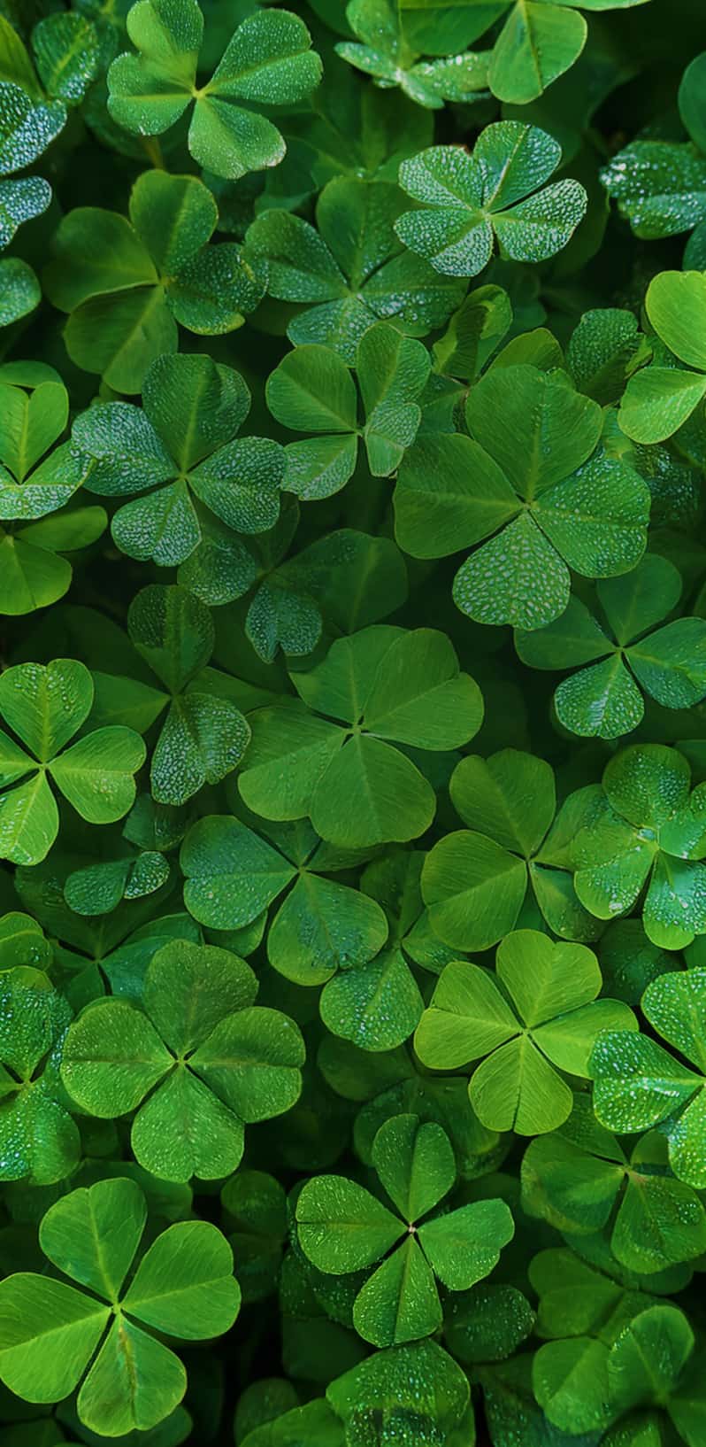 Feeling lucky flash sale. Up to 70% off*. Save Now.