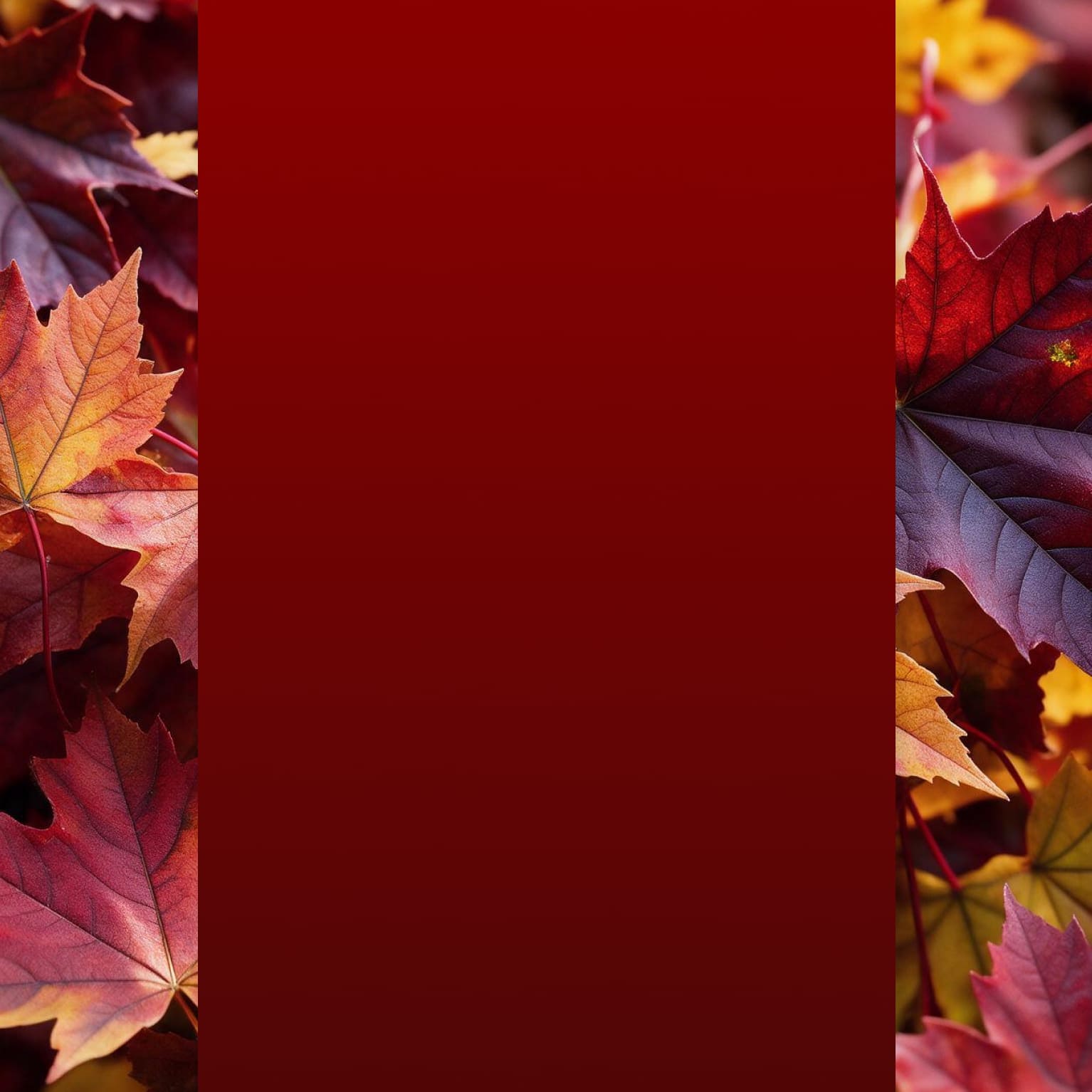 Fall Overhaul Sale. Extra 10% off* coupon. Use code FALLHAUL. Save Now. *Exclusions may apply, offer valid on select picks.