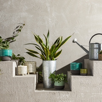 Shop Gifts for Plant Lovers