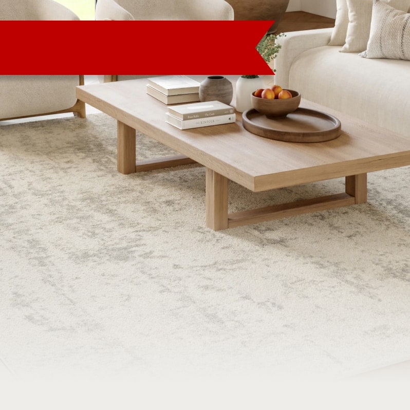 large rugs. under $199