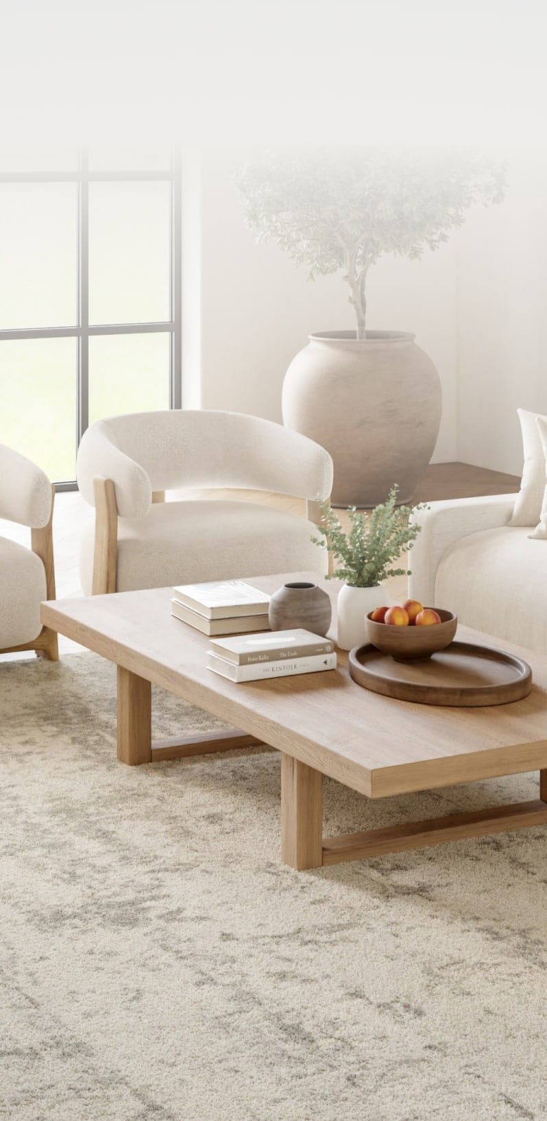 large area rugs. under $199