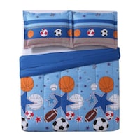 Las Vegas Raiders NFL Licensed Status Bed In A Bag Comforter & Sheet Set  - On Sale - Bed Bath & Beyond - 34843029