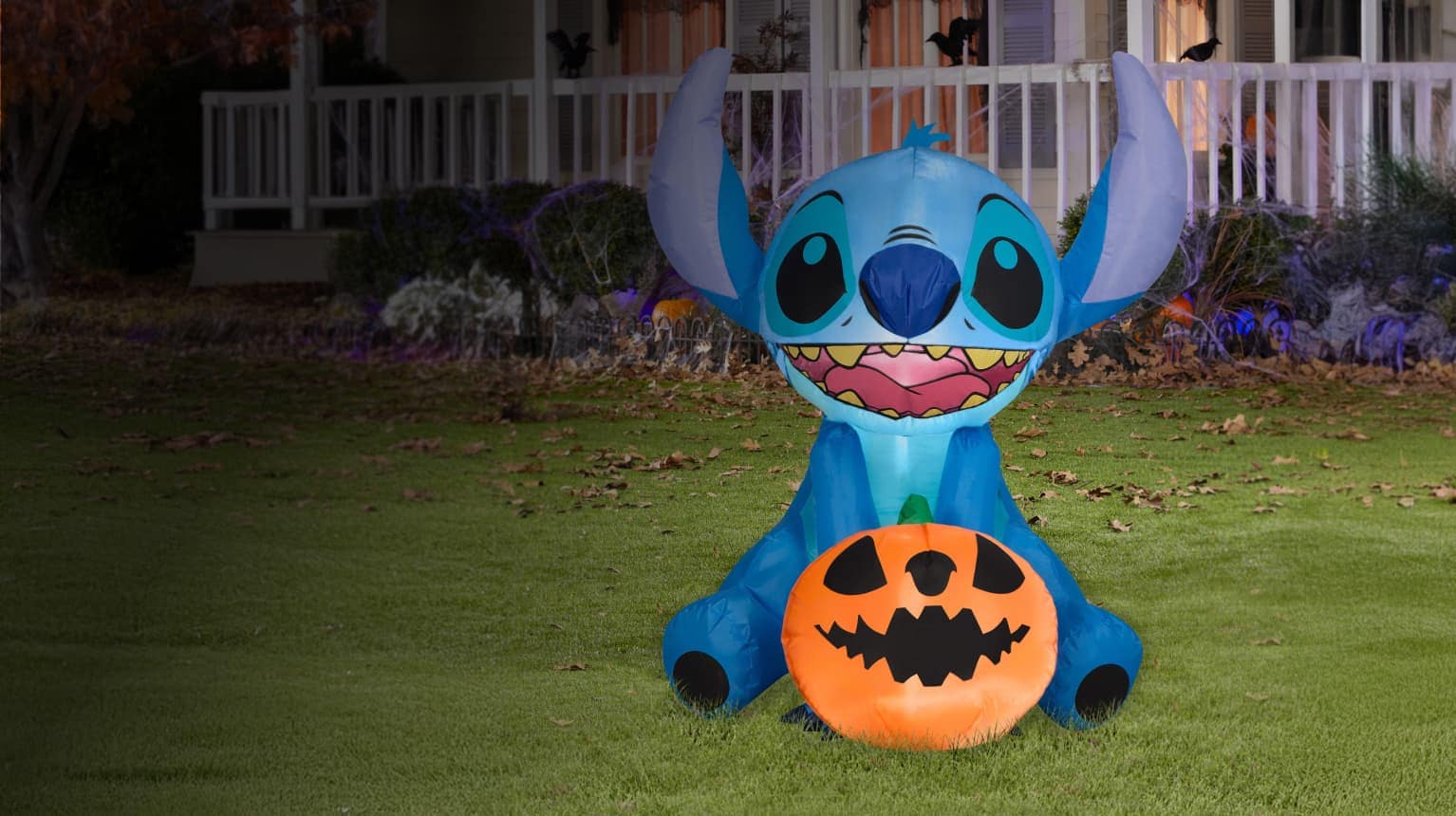 cute & kid-friendly. Save Now.