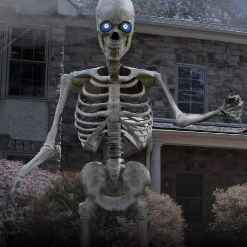 skeleton crew. Save Now.