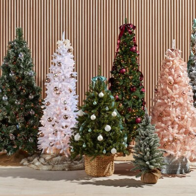 Shop christmas trees