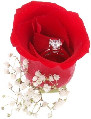 stunning solitaire cubic zirconia engagement ring in a red rose