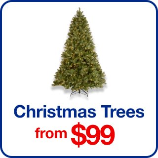 Christmas Trees from $99