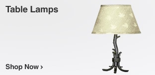 Chandeliers & Pendants Table Lamps Floor Lamps Sconces & Vanities 