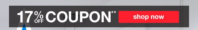 17% off coupon**