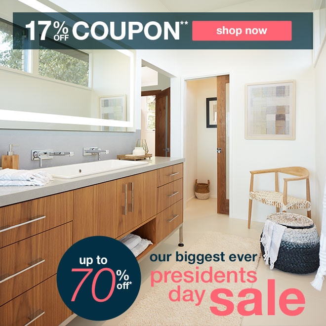 17% off coupon**