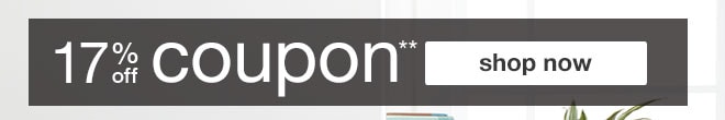 17% off coupon**
